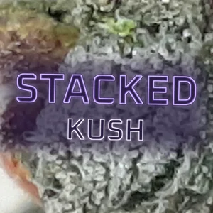Stacked Kush Cannabis Strain