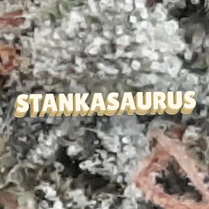 Stankasaurus Cannabis Strain