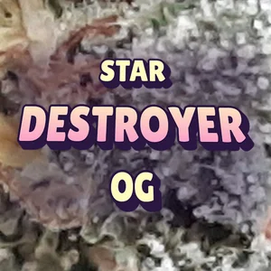 Star Destroyer OG Cannabis Strain