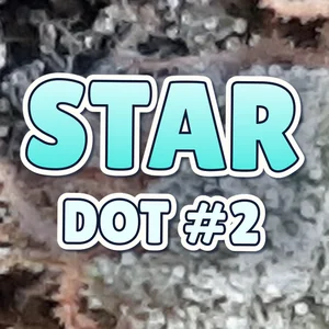 Star Dot #2 Cannabis Strain