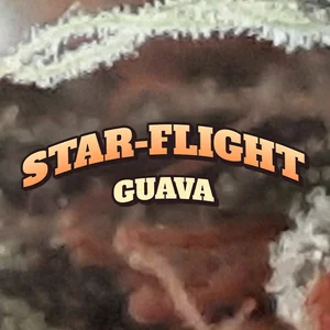 Star-Flight Guava Cannabis Strain