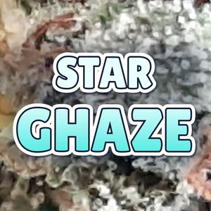 Star Ghaze Cannabis Strain