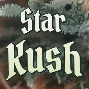 Star Kush Cannabis Strain