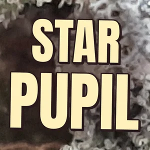 Star Pupil Cannabis Strain