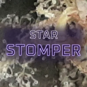 Star Stomper Cannabis Strain