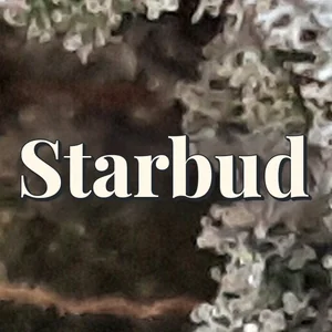Starbud Cannabis Strain