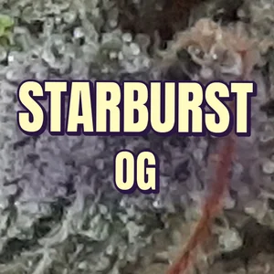 Starburst OG Cannabis Strain