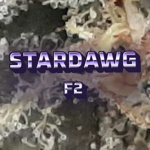 Stardawg F2 Cannabis Strain