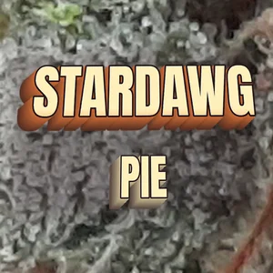 Stardawg Pie Cannabis Strain