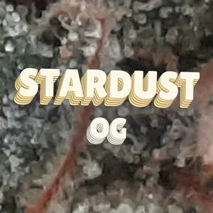 Stardust OG Cannabis Strain