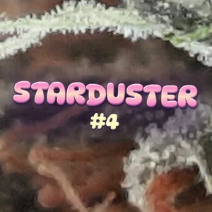 Starduster #4 Cannabis Strain