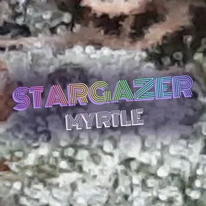Stargazer Myrtle Cannabis Strain