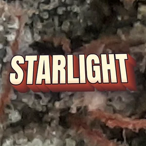 Starlight Cannabis Strain