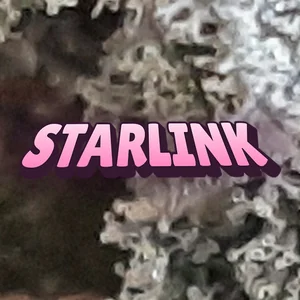 Starlink Cannabis Strain