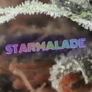 Starmalade Cannabis Strain