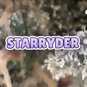 StarRyder Cannabis Strain