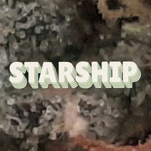 Starship Cannabis Strain
