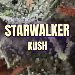 Starwalker Kush Cannabis Strain