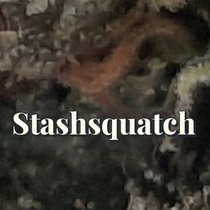 Stashsquatch Cannabis Strain