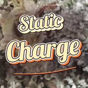 Static Charge Cannabis Strain