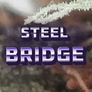 Steel Bridge Cannabis Strain
