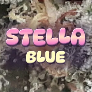 Stella Blue Cannabis Strain