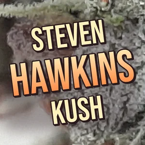 Steven Hawkins Kush Cannabis Strain