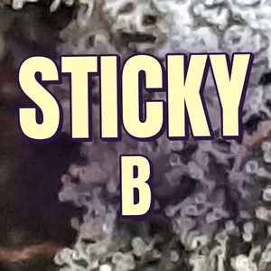 Sticky B Cannabis Strain