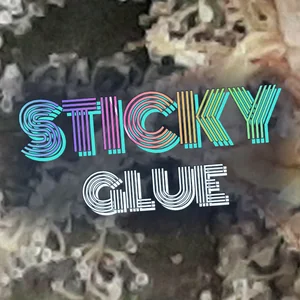 Sticky Glue Cannabis Strain