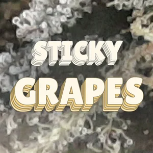 Sticky Grapes Cannabis Strain
