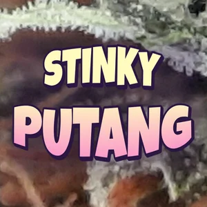 Stinky PuTang Cannabis Strain