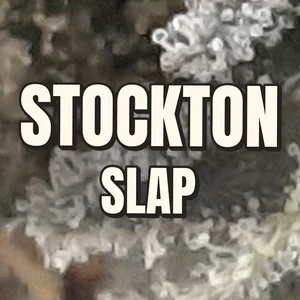 Stockton Slap Cannabis Strain