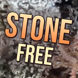 Stone Free Cannabis Strain