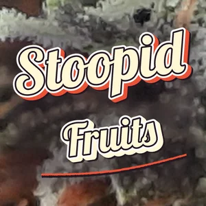 Stoopid Fruits Cannabis Strain