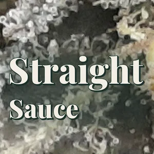 Straight Sauce Cannabis Strain