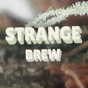 Strange Brew Cannabis Strain