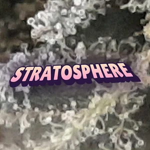 Stratosphere Cannabis Strain
