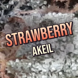 Strawberry Akeil Cannabis Strain