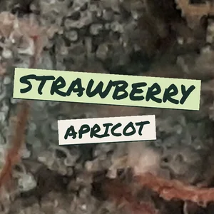 Strawberry Apricot Cannabis Strain