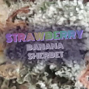 Strawberry Banana Sherbet Cannabis Strain