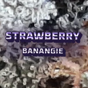Strawberry Banangie Cannabis Strain