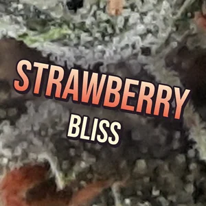 Strawberry Bliss Cannabis Strain