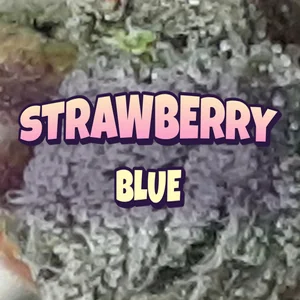 Strawberry Blue Cannabis Strain