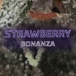 Strawberry Bonanza Cannabis Strain