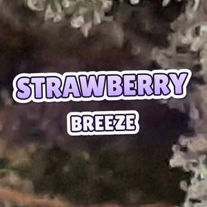 Strawberry Breeze Cannabis Strain