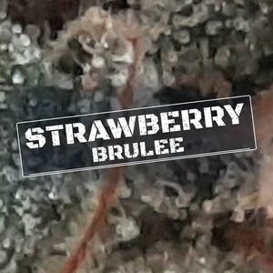 Strawberry Brulee Cannabis Strain