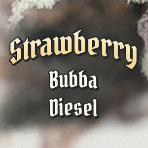 Strawberry Bubba Diesel Cannabis Strain