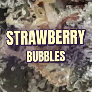 Strawberry Bubbles Cannabis Strain