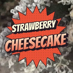 Strawberry Cheesecake Cannabis Strain