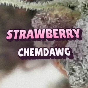 Strawberry Chemdawg Cannabis Strain